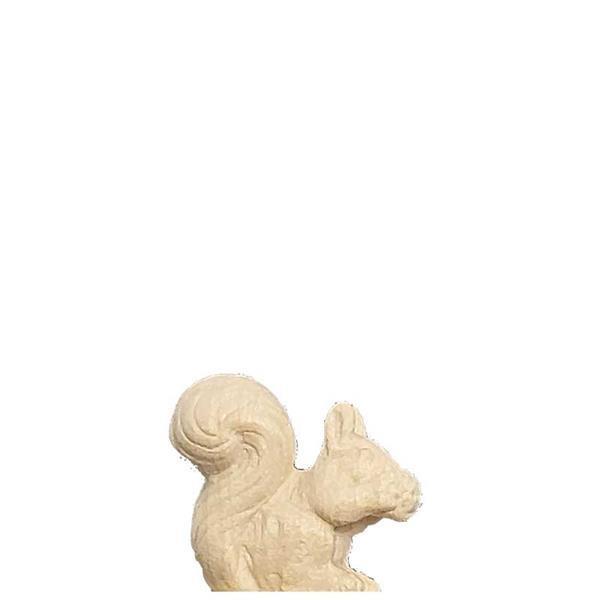 Eichhörnchen Eichhörnchen