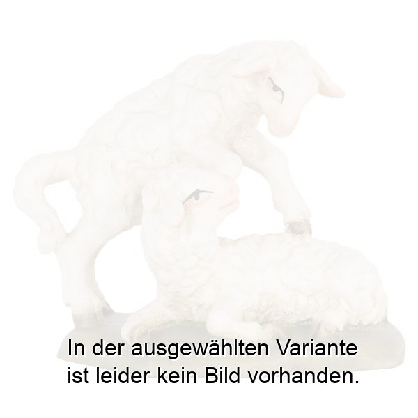 Lammgruppe Lammgruppe