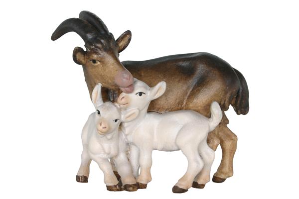 Ziegengruppe Ziegengruppe