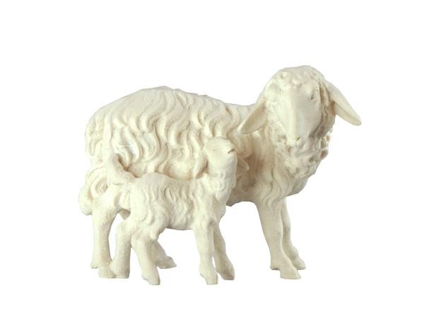 Schaf stehend mit Lamm Schaf stehend mit Lamm