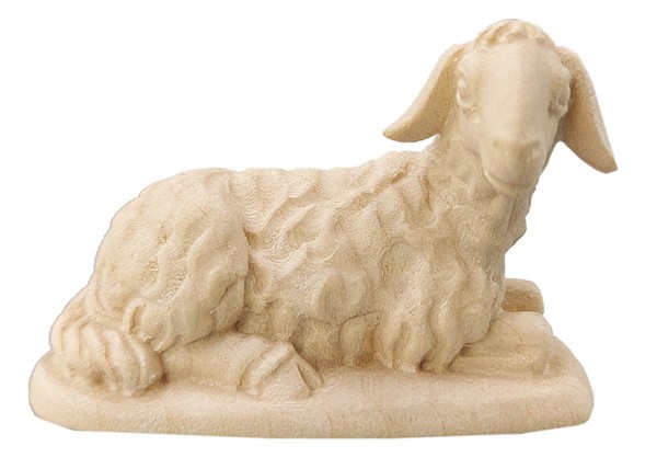 Schaf liegend Schaf liegend