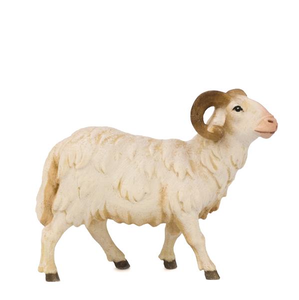 Schafbock Schafbock