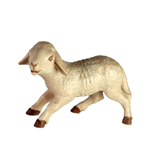 Lamm Lamm