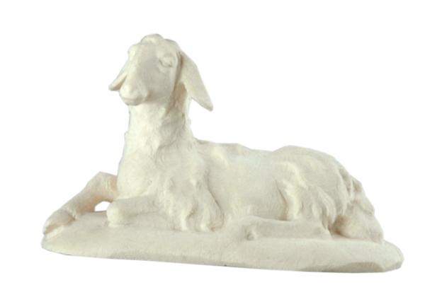 Schaf liegend Schaf liegend