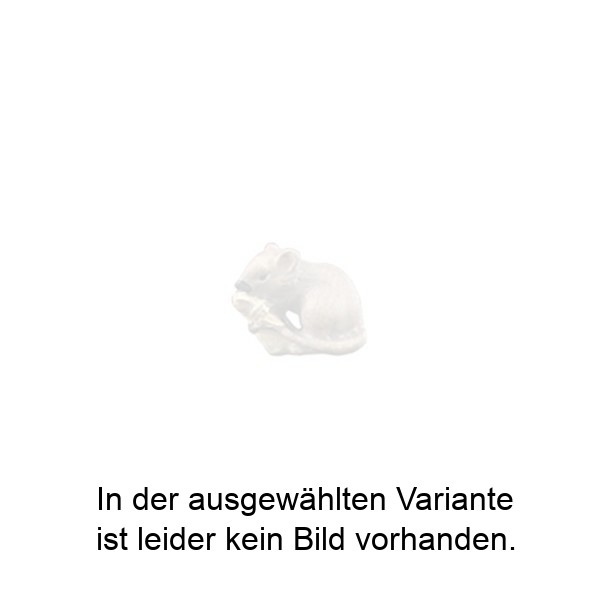 Maus mit Käse Maus mit Käse