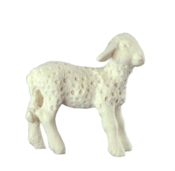 Lamm stehend Lamm stehend