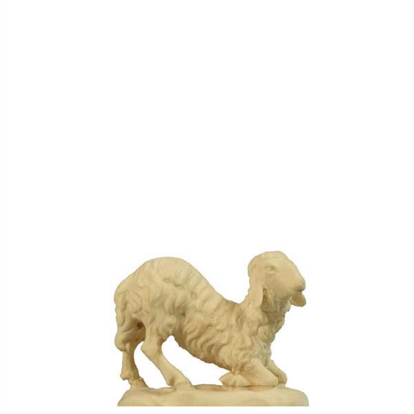 Schaf kniend Schaf kniend