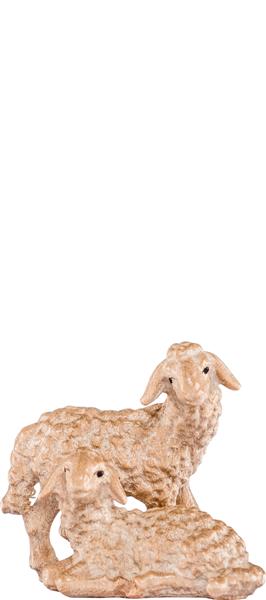 Lammgruppe Lammgruppe