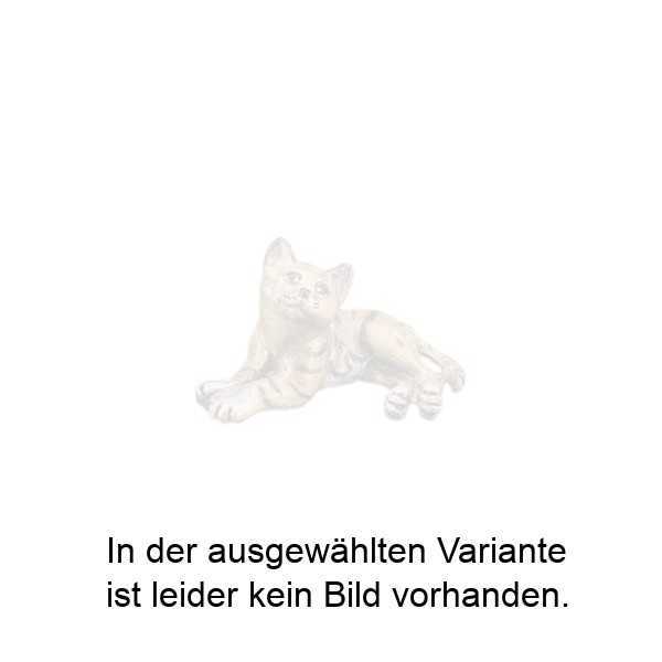 Liegendes Kätzchen Liegendes Kätzchen