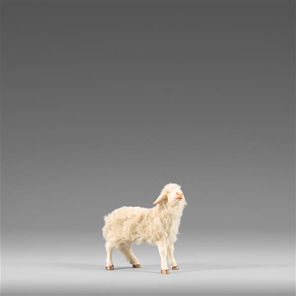 Schaf stehend mit Wolle beige Schaf stehend mit Wolle beige