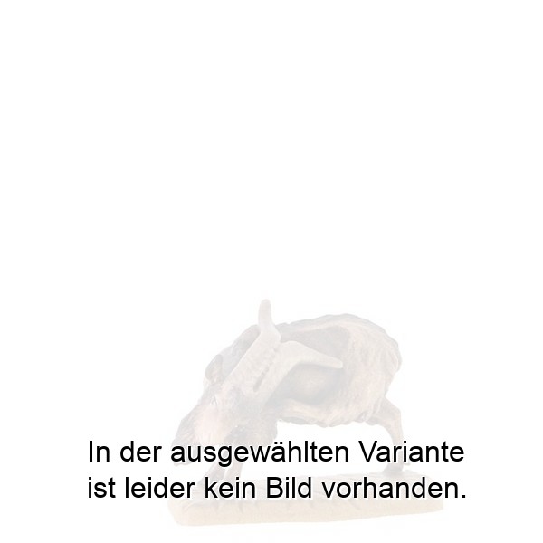 Ziegenbock kratzend Ziegenbock kratzend