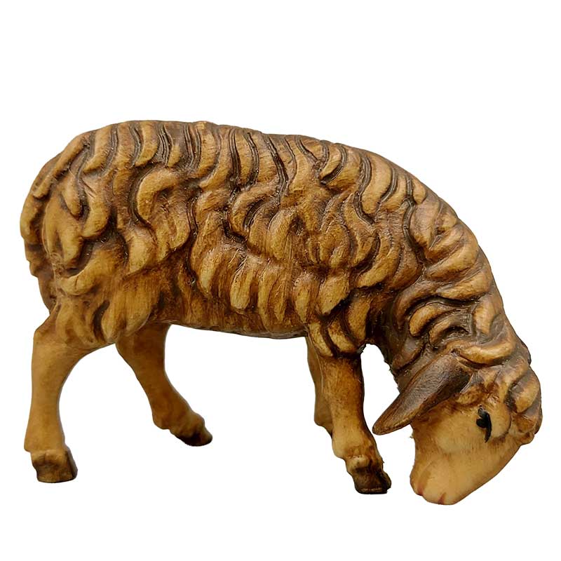 Schaf fressend rechts braun Schaf fressend rechts braun