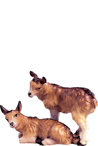 Kitzgruppe Kitzgruppe