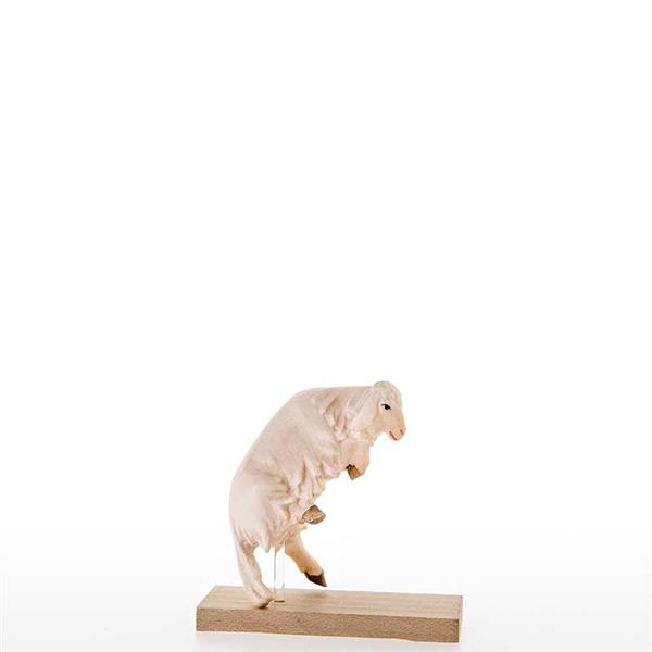 Lamm vor Freude hüpfend Lamm vor Freude hüpfend