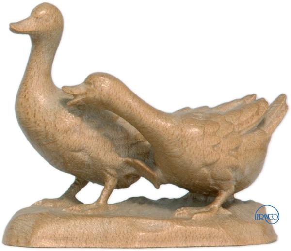 Gänsegruppe Gänsegruppe