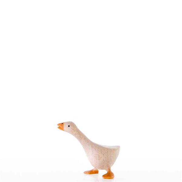 Gans seitwärtsschauend Gans seitwärtsschauend