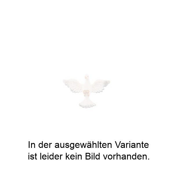 Nur Taube Nur Taube