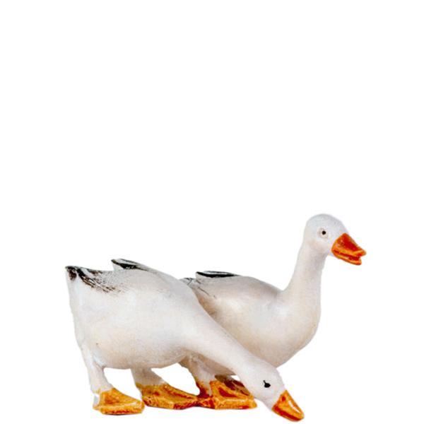Entenpaar
