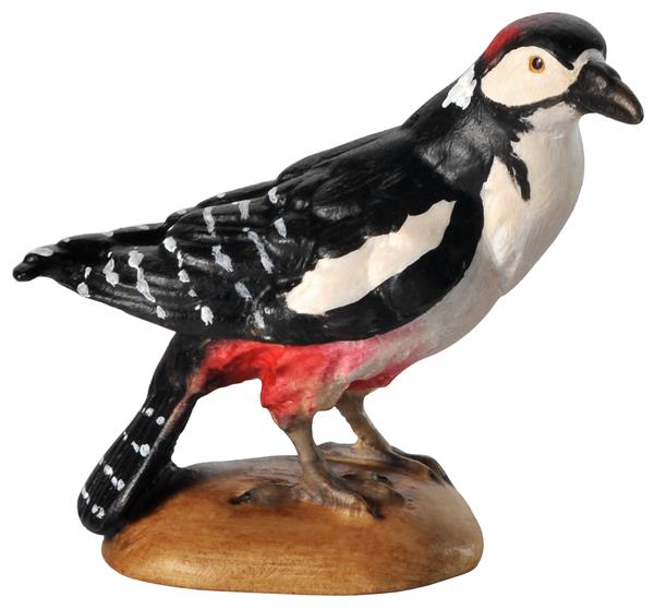 Specht sitzend Specht sitzend