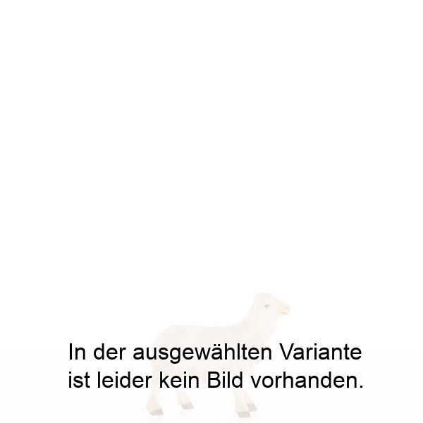 Lamm mit Kopf nach oben