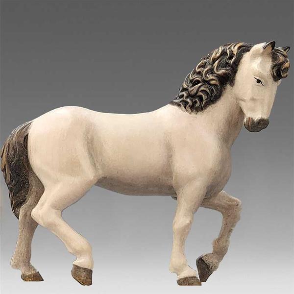 Pferd weiß