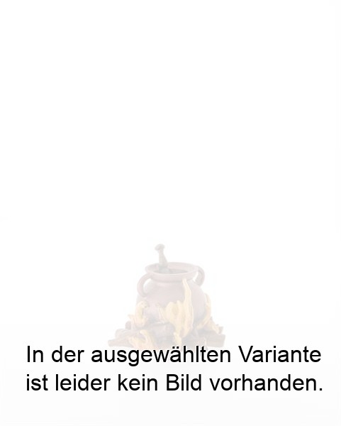 Feuerstelle mit Kupferkessel Feuerstelle mit Kupferkessel
