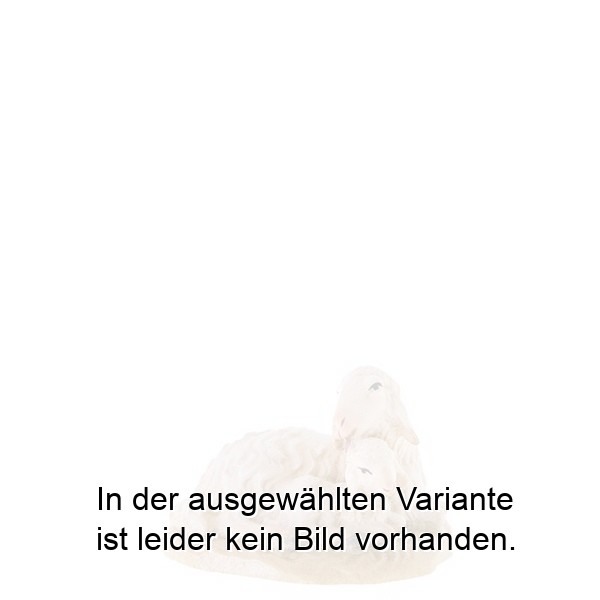 Schaf mit Lamm Schaf mit Lamm
