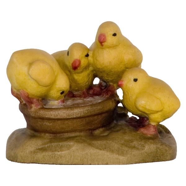 Kükengruppe Kükengruppe