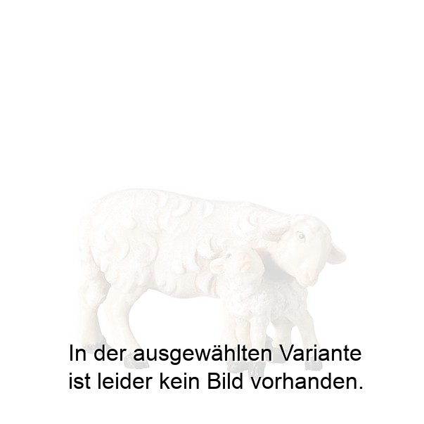 Schaf mit Lamm stehend Schaf mit Lamm stehend