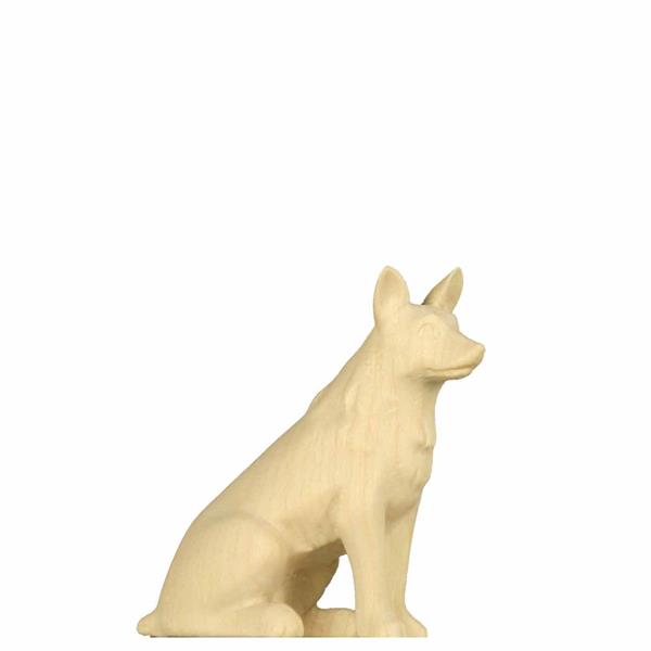 Hund Leo-Krippe
