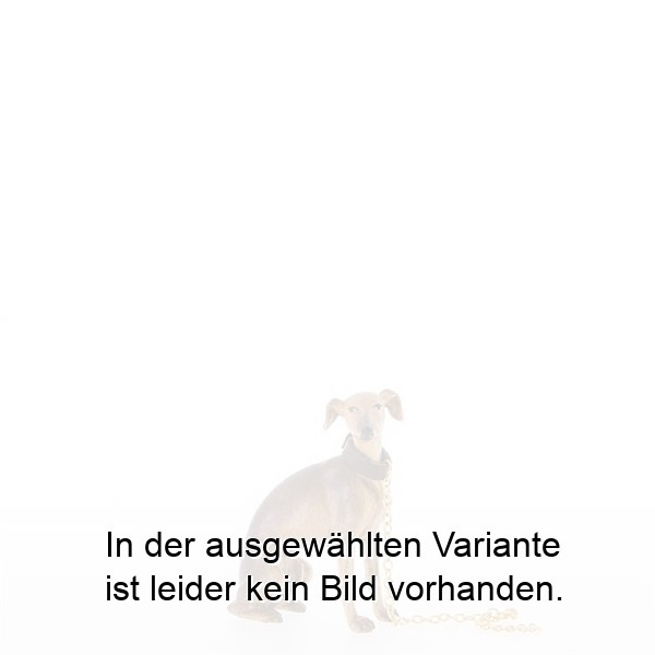 Sitzender Windhund