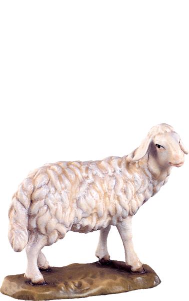 Schaf stehend