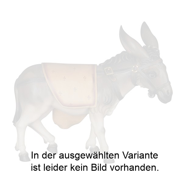 Esel ohne Gepäck - Flucht nach Ägypten Esel ohne Gepäck - Flucht nach Ägypten