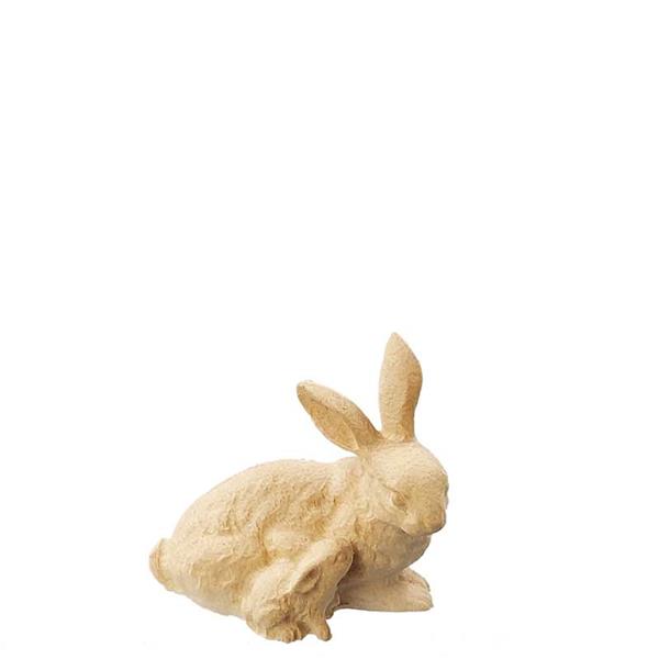 Hase