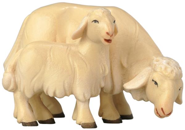 Schaf grasend mit Lamm