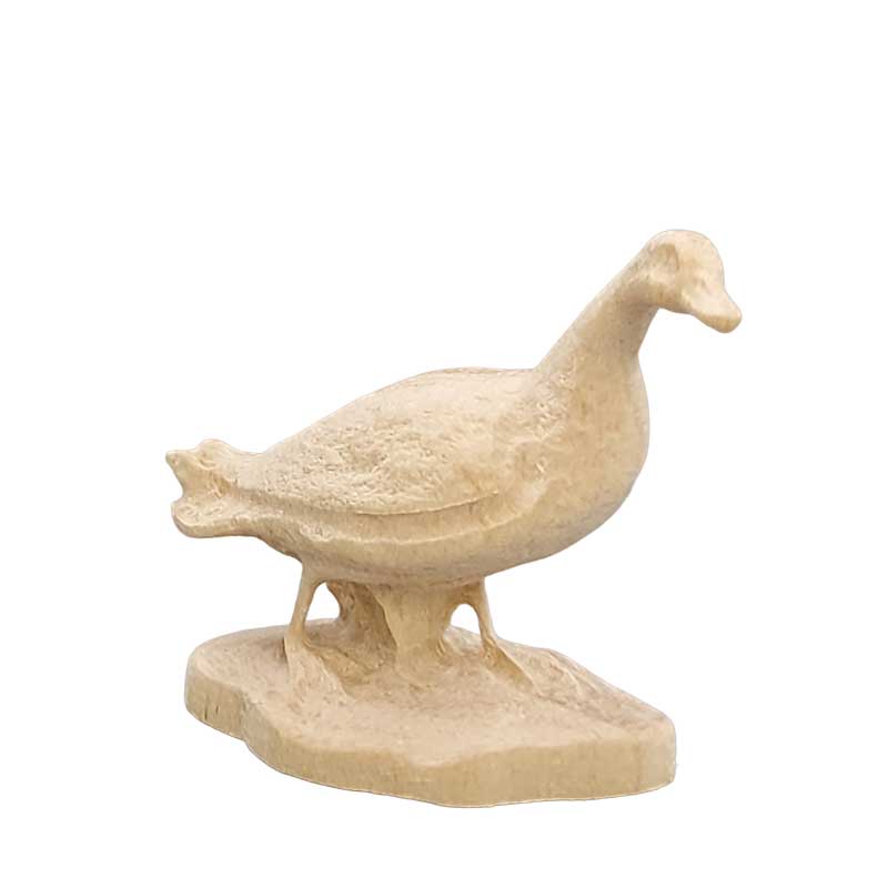 Ente weiß