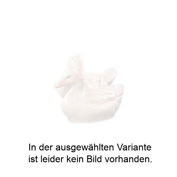 Entengruppe weiß Entengruppe weiß