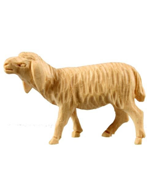 Schaf stehend Schaf stehend
