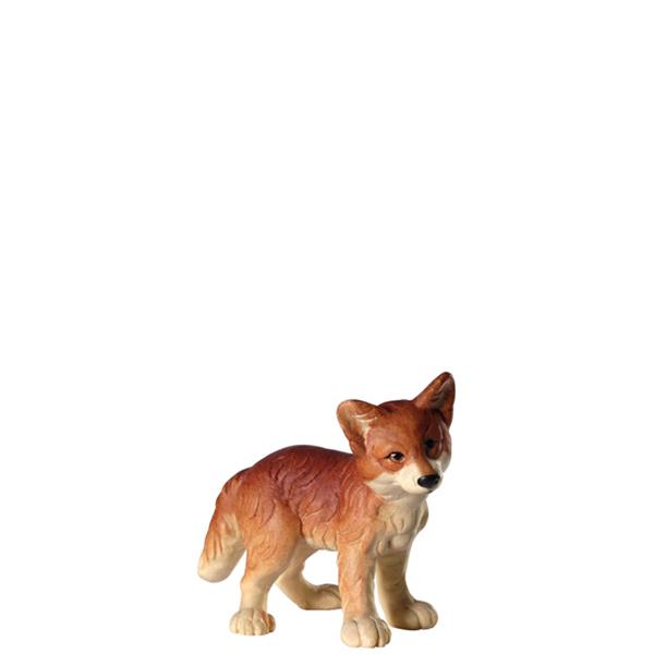 Fuchswelpe stehend Fuchswelpe stehend