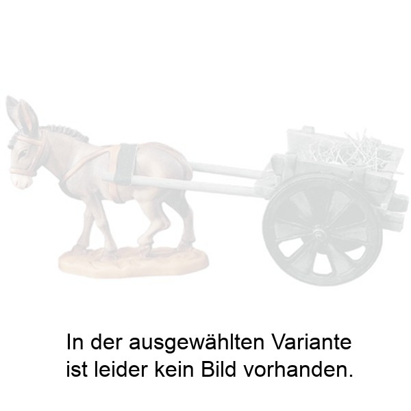 Esel mit Gurten ohne Karren
