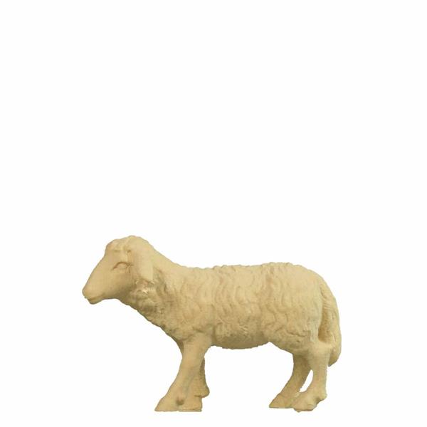 Schaf stehend