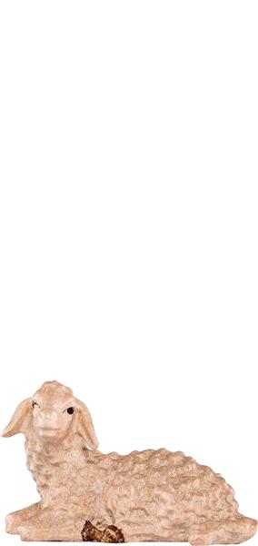 Lamm liegend Lamm liegend