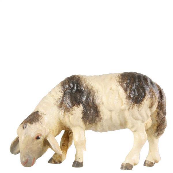 Schaf äsend fleckig