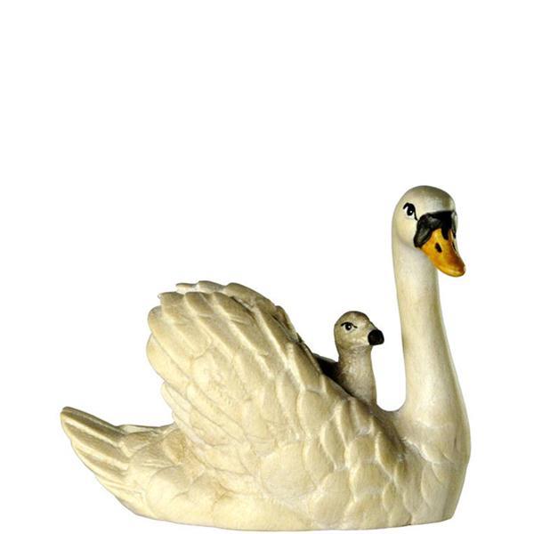 Schwan mit Junge auf Rücken
