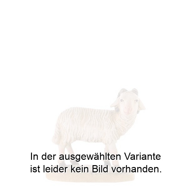 Schafbock