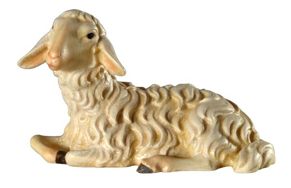 Schaf liegend