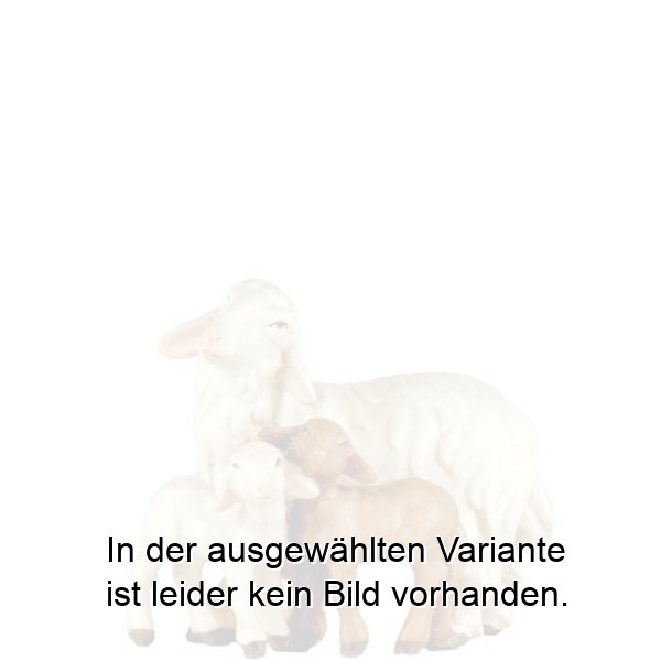 Schaf mit 2 Lämmer Schaf mit 2 Lämmer