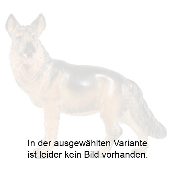 Schäferhund