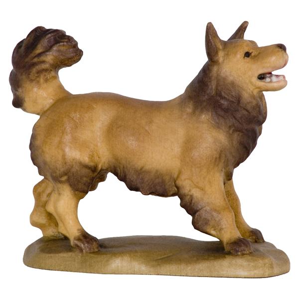 Spitzhund Spitzhund