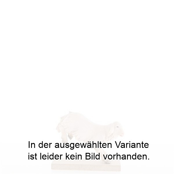 Lamm hüpfend nach unten